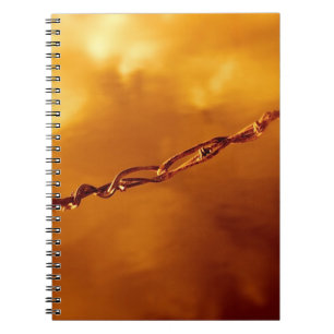 Barbed Wire Fugue Notizblock