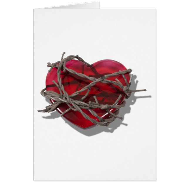 BarbedWireHeart081510 (Vorne)