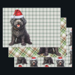 Barbet Christmas Dog Green Kariert Geschenkpapier Set<br><div class="desc">Ein bezaubernder Barbet Hund ist bereit für die Ferienzeit mit Ferienhut. Dieser niedliche Weihnachtshund ist mit einem grünen und weißen Urlaub gepaart,  kariert auf diesem Set der Geschenkpackung für den Hundefreund.</div>