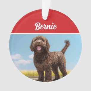 Barbet Dog Holiday Weihnachts-Foto Ornament