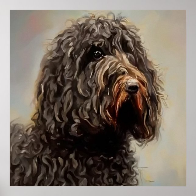 Barbet - Dog Portrait Poster (Vorne)