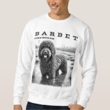 Barbet French Water Dog