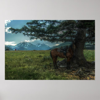 Barbras Fahrt Poster