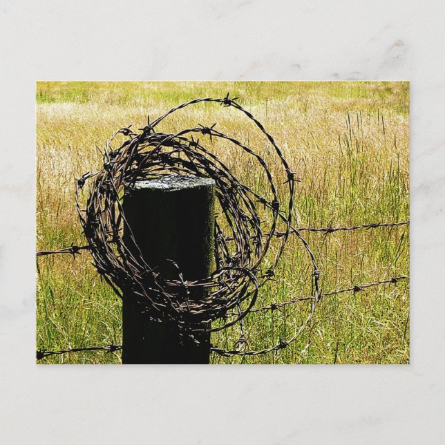Barbwire-Land Postkarte (Vorderseite)