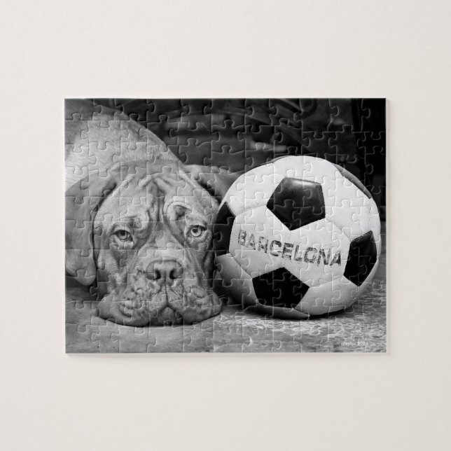 Barcelona's fanatic soccer dog. Barcelona, Spain, Puzzle (Horizontal)
