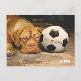 Barcelonas fanatischer Fußballhund Postkarte