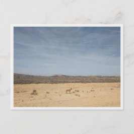 Bardenas Reales (Spanien) Postkarte