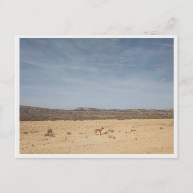 Bardenas Reales (Spanien) Postkarte (Vorderseite)