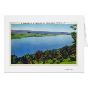 Bare Hill View of Canandaigua Lake