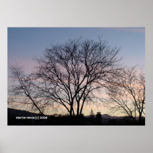 Bare Tree at Dusk Poster