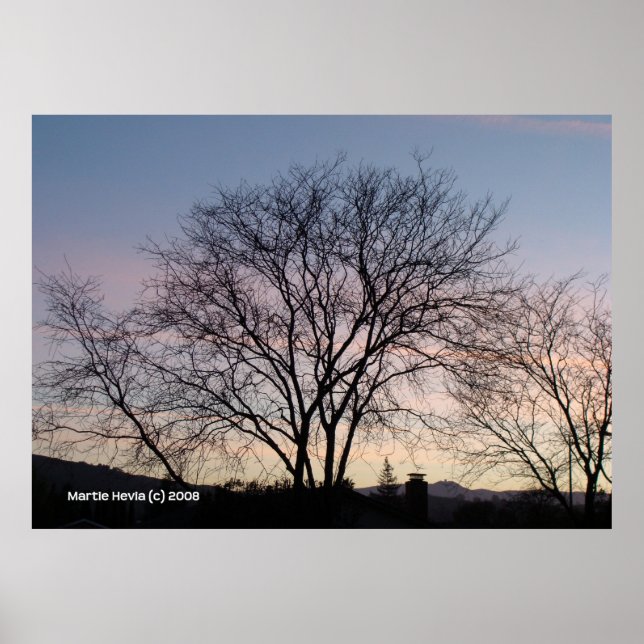 Bare Tree at Dusk Poster (Vorne)