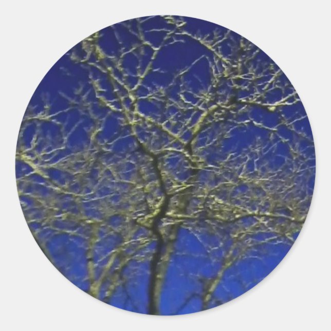 Bare Tree Aufkleber (Vorderseite)