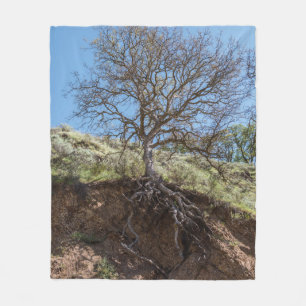 Bare tree on Berg während des Tages Fleecedecke