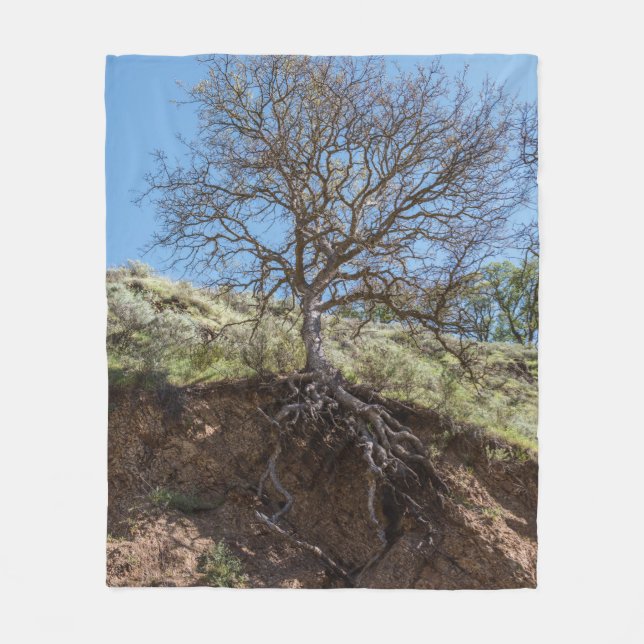Bare tree on Berg während des Tages Fleecedecke (Vorderseite)