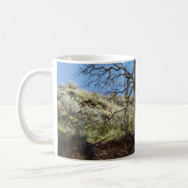 Bare tree on mountain during day kaffeetasse (Links)