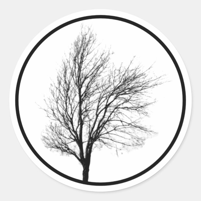 Bare Tree Silhouette Sticker (Vorderseite)