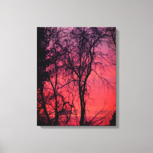 Bare Trees Sunrise Wrapped Canvas Leinwanddruck