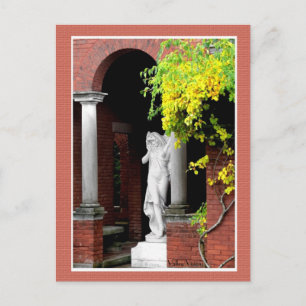 Barefoot Kate Postkarte