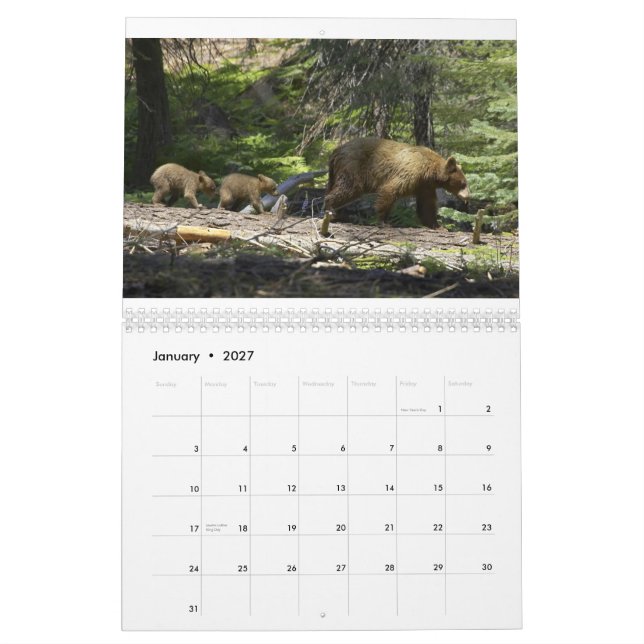 Bären durch Edward Hughes Kalender (Jan 2027)