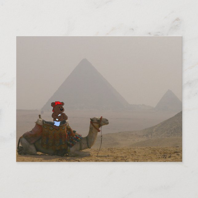 "Bären in Ägypten" Postkarte (Vorderseite)
