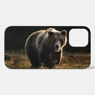 Bären iPhone 12 Hülle