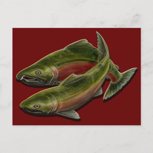 Bären Postcard Custom Lmon Fisch Postkarten (Vorderseite)