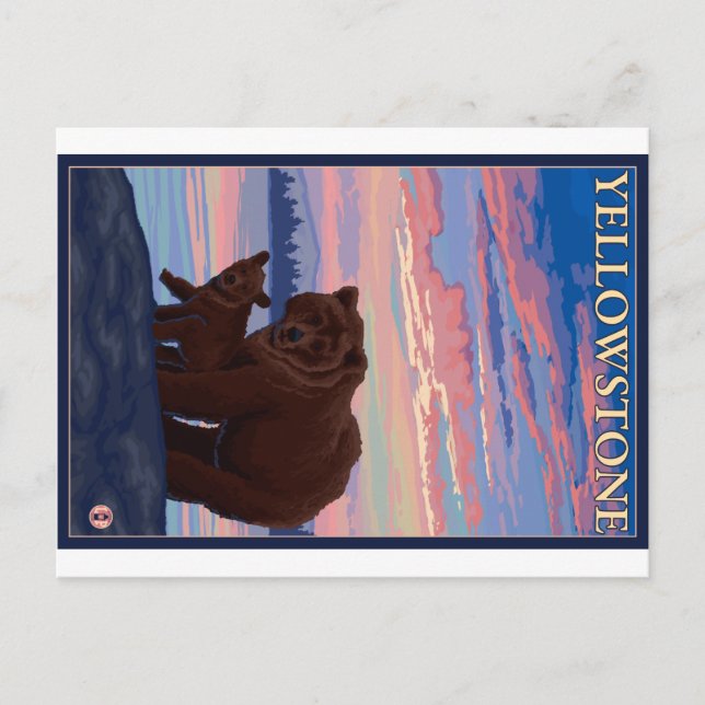 Bären und Cub - Yellowstone Nationalpark Postkarte (Vorderseite)