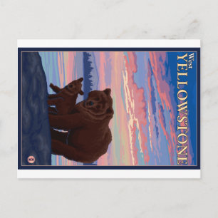 Bären und Krub - West-Gelbstein, Montana Postkarte