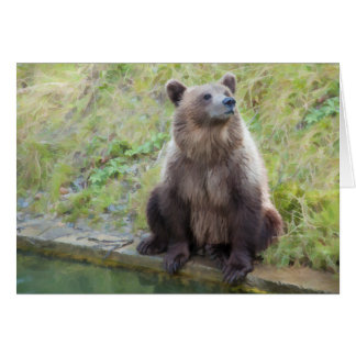 Bären: "Was ist das für ein Owling?"