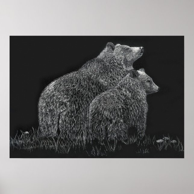 Bären Wildtiere Natur Zeichnend Schwarz-weiß Poster (Vorne)