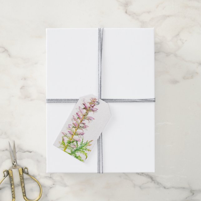 Bärenbrauen rosa Blume Aquarellmarke Geschenkanhänger (Mit Garn)