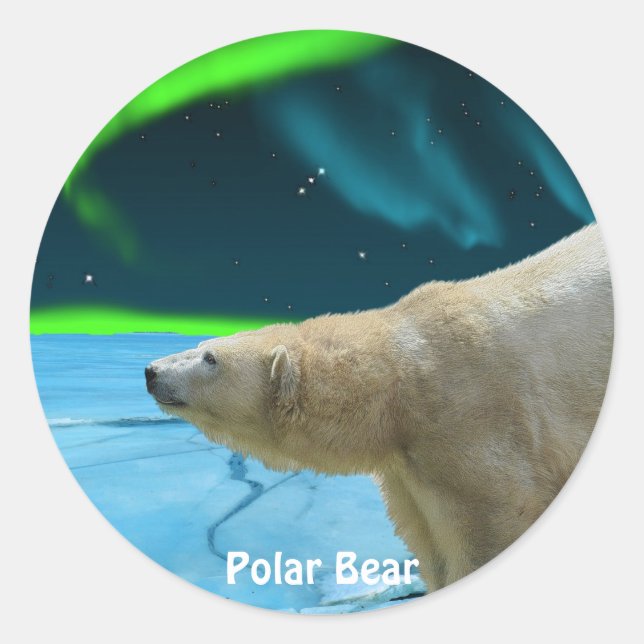 Bärendesign für Tierschützer und Wildtiere Runder Aufkleber (Vorderseite)
