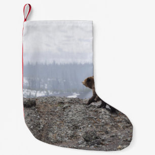 BÄRENFAMILIE IN YELLOWSTONE KLEINER WEIHNACHTSSTRUMPF