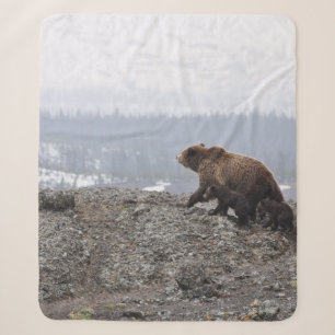 BÄRENFAMILIE IN YELLOWSTONE SHERPADECKE