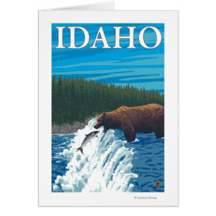 Bärenfischen in Fluss - Idaho