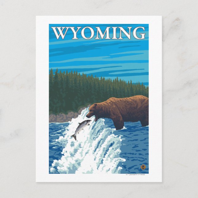 Bärenfischerei im Fluss - Wyoming Postkarte (Vorderseite)
