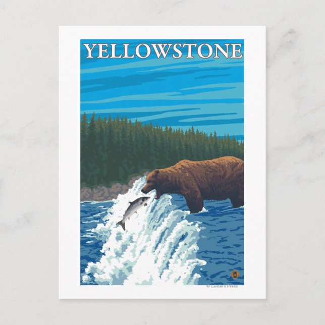 Bärenfischerei im Fluss - Yellowstone National Postkarte (Vorderseite)