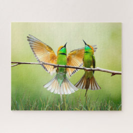 Bärenfresser Bird Puzzle