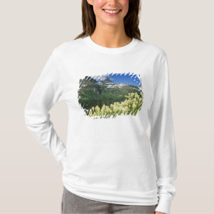 Bärengras nahe Logan Pass in Gacier National T-Shirt
