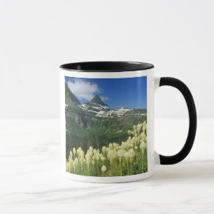 Bärengras nahe Logan Pass in Gacier National Tasse