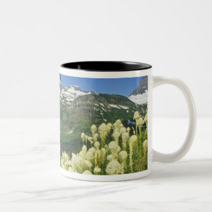 Bärengras nahe Logan Pass in Gacier National Zweifarbige Tasse