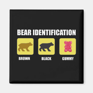 Bärenidentifikation Magnet