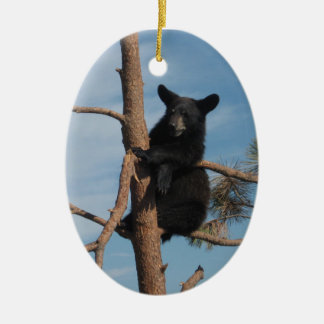 Bärenjunges in einem Baum Keramikornament