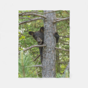 Bärenjunges klettert auf einen Baum Fleecedecke