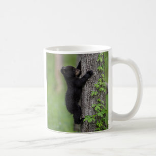 Bärenjunges klettert auf einen Baum Kaffeetasse