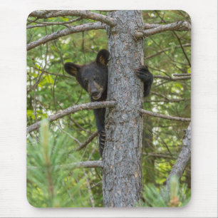 Bärenjunges klettert auf einen Baum Mousepad