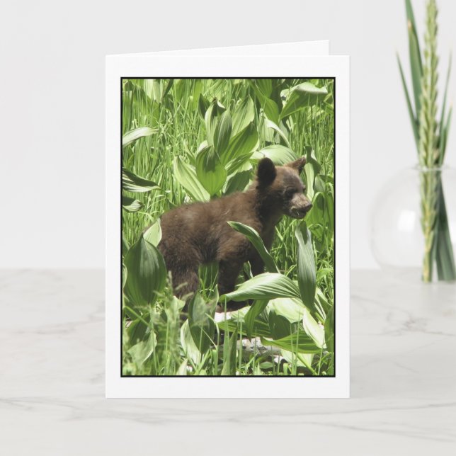 Bärenkarte als Bären gelassen Karte (Vorderseite)