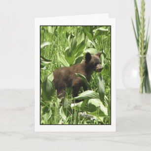 Bärenkarte als Bärenkarte gelassen Karte