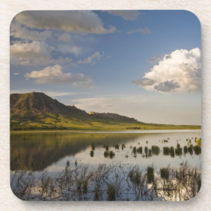Bärenknöpfe spiegeln sich in den Bären-Butte-See i Untersetzer