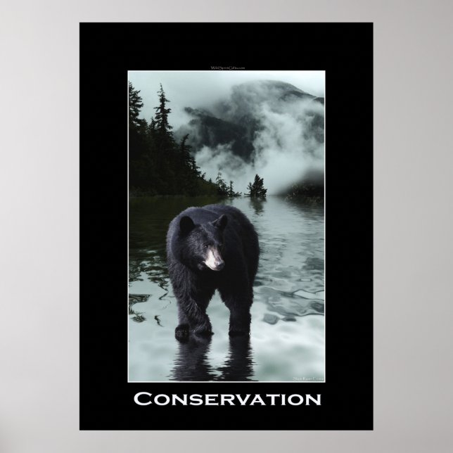 Bärenkonservierung Wildlife Poster (Vorne)